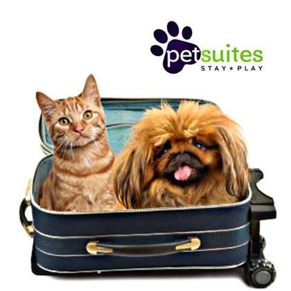  Easy 1-Click Apply Petsuites : Stay And Play Pet Host Full-Time ($12 - $16) job opening hiring now in Baton Rouge, LA 70810. Don't wait - apply now! 